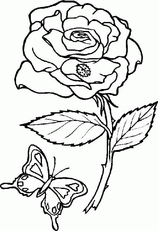 Dessin à colorier: Fleurs (Nature) #154996 - Coloriages à Imprimer Gratuits