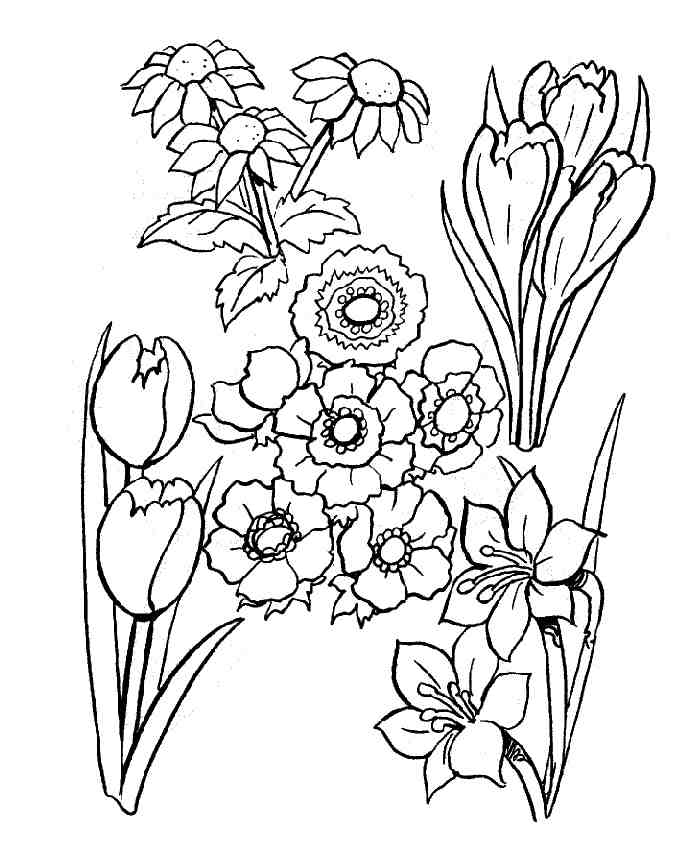 Dessin à colorier: Fleurs (Nature) #155035 - Coloriages à Imprimer Gratuits