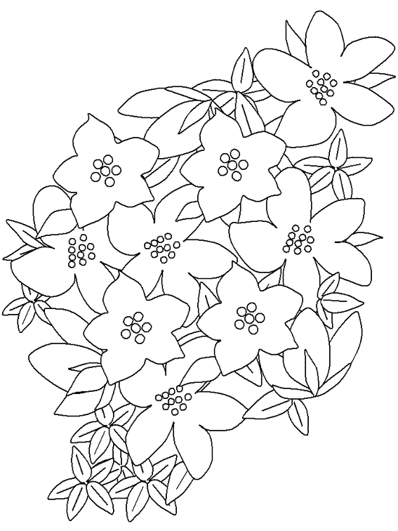 Dessin à colorier: Fleurs (Nature) #155063 - Coloriages à Imprimer Gratuits