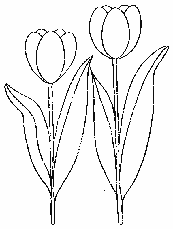 Dessin à colorier: Fleurs (Nature) #155080 - Coloriages à Imprimer Gratuits