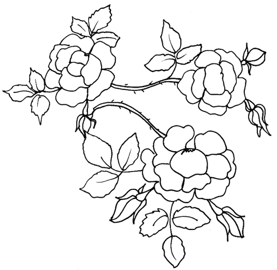 Dessin à colorier: Fleurs (Nature) #155096 - Coloriages à Imprimer Gratuits