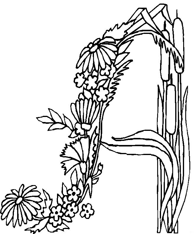 Dessin à colorier: Fleurs (Nature) #155127 - Coloriages à Imprimer Gratuits