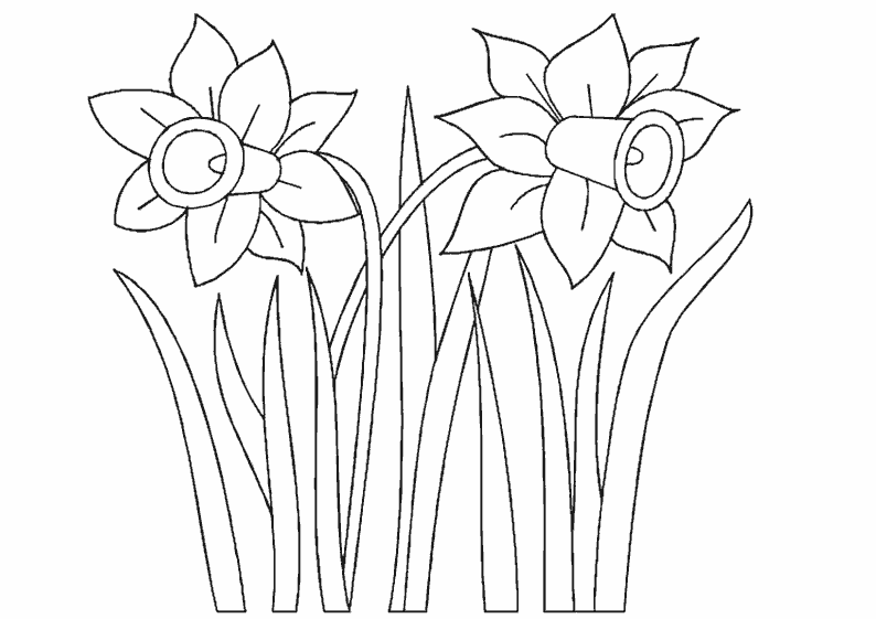 Dessin à colorier: Fleurs (Nature) #155167 - Coloriages à Imprimer Gratuits