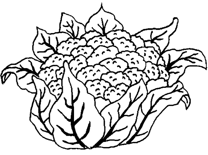 Dessin à colorier: Fleurs (Nature) #155194 - Coloriages à Imprimer Gratuits