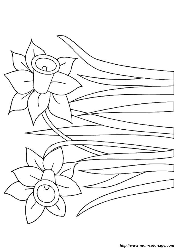 Dessin à colorier: Fleurs (Nature) #155217 - Coloriages à Imprimer Gratuits