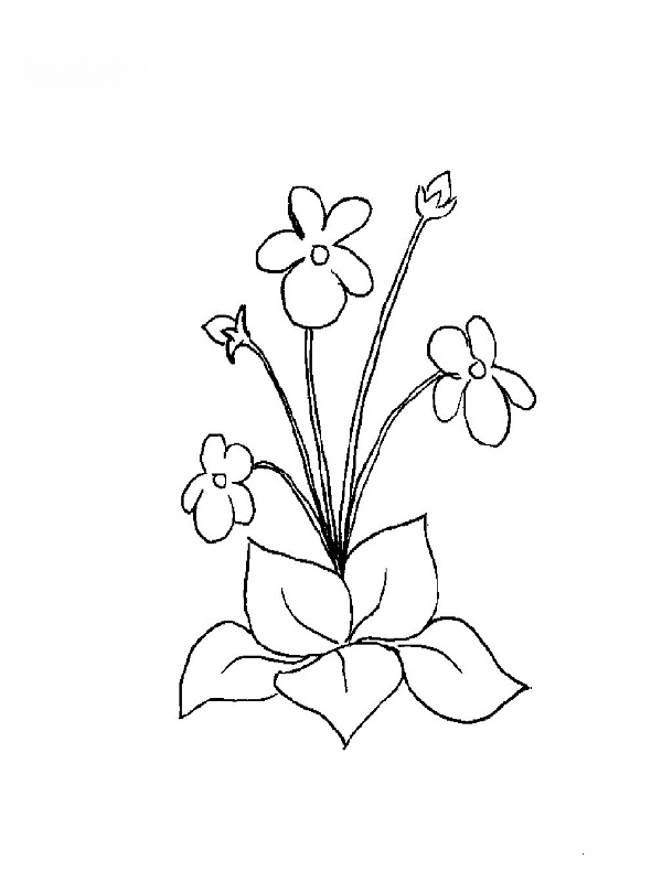 Dessin à colorier: Fleurs (Nature) #155252 - Coloriages à Imprimer Gratuits