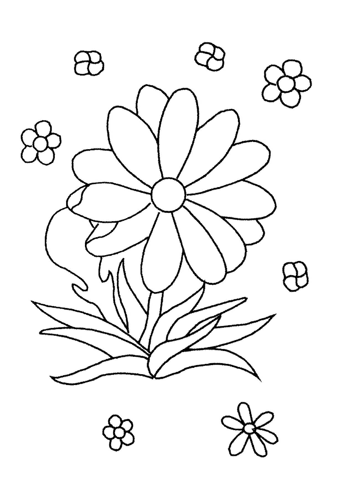 Dessin à colorier: Marguerite (Nature) #161390 - Coloriages à Imprimer Gratuits