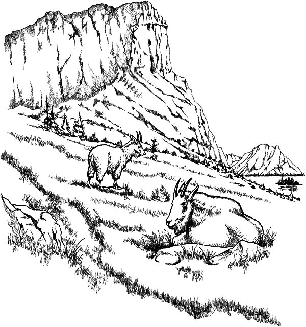Dessin à colorier: Montagne (Nature) #156739 - Coloriages à Imprimer Gratuits