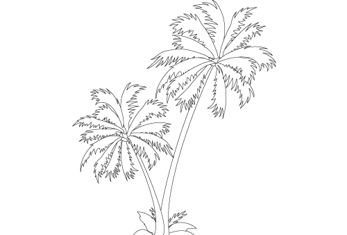 Dessin à colorier: Palmier (Nature) #161122 - Coloriages à Imprimer Gratuits