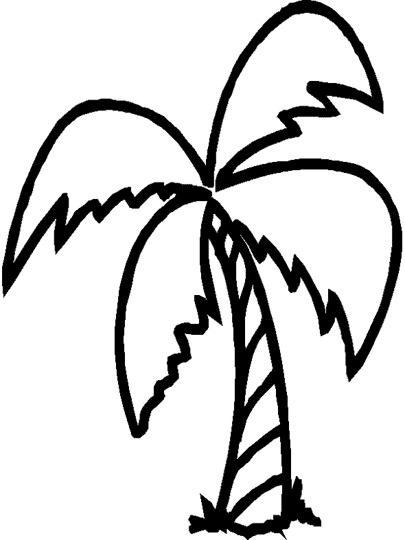 Dessin à colorier: Palmier (Nature) #161128 - Coloriages à Imprimer Gratuits