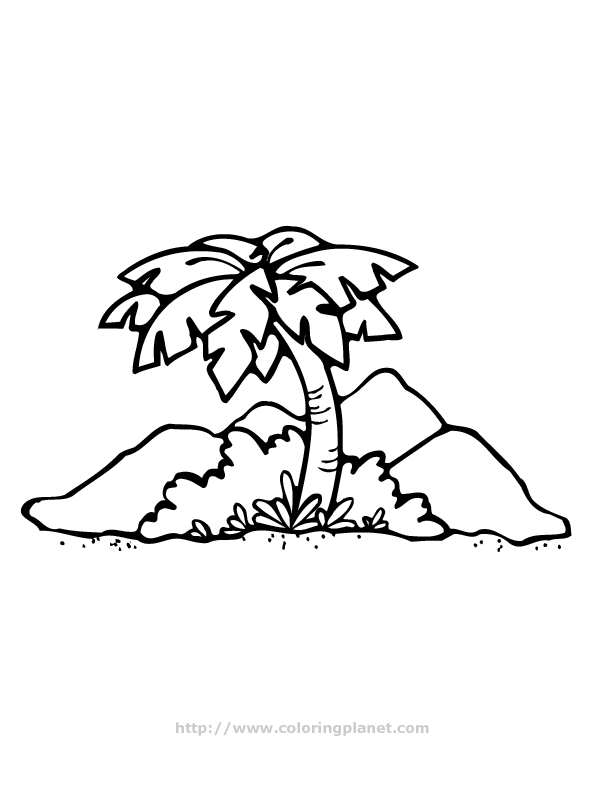 Dessin à colorier: Palmier (Nature) #161169 - Coloriages à Imprimer Gratuits