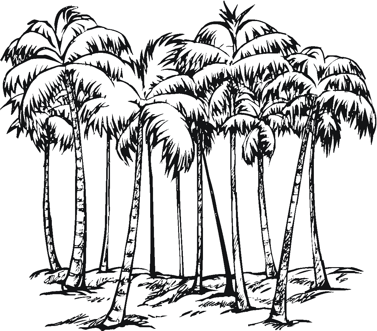 Dessin à colorier: Palmier (Nature) #161177 - Coloriages à Imprimer Gratuits
