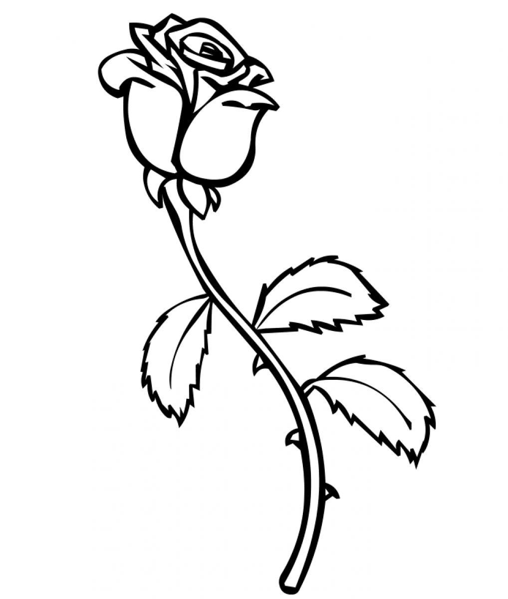 Dessin à colorier: Roses (Nature) #161873 - Coloriages à Imprimer Gratuits
