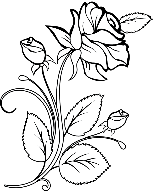 Dessin à colorier: Roses (Nature) #161874 - Coloriages à Imprimer Gratuits