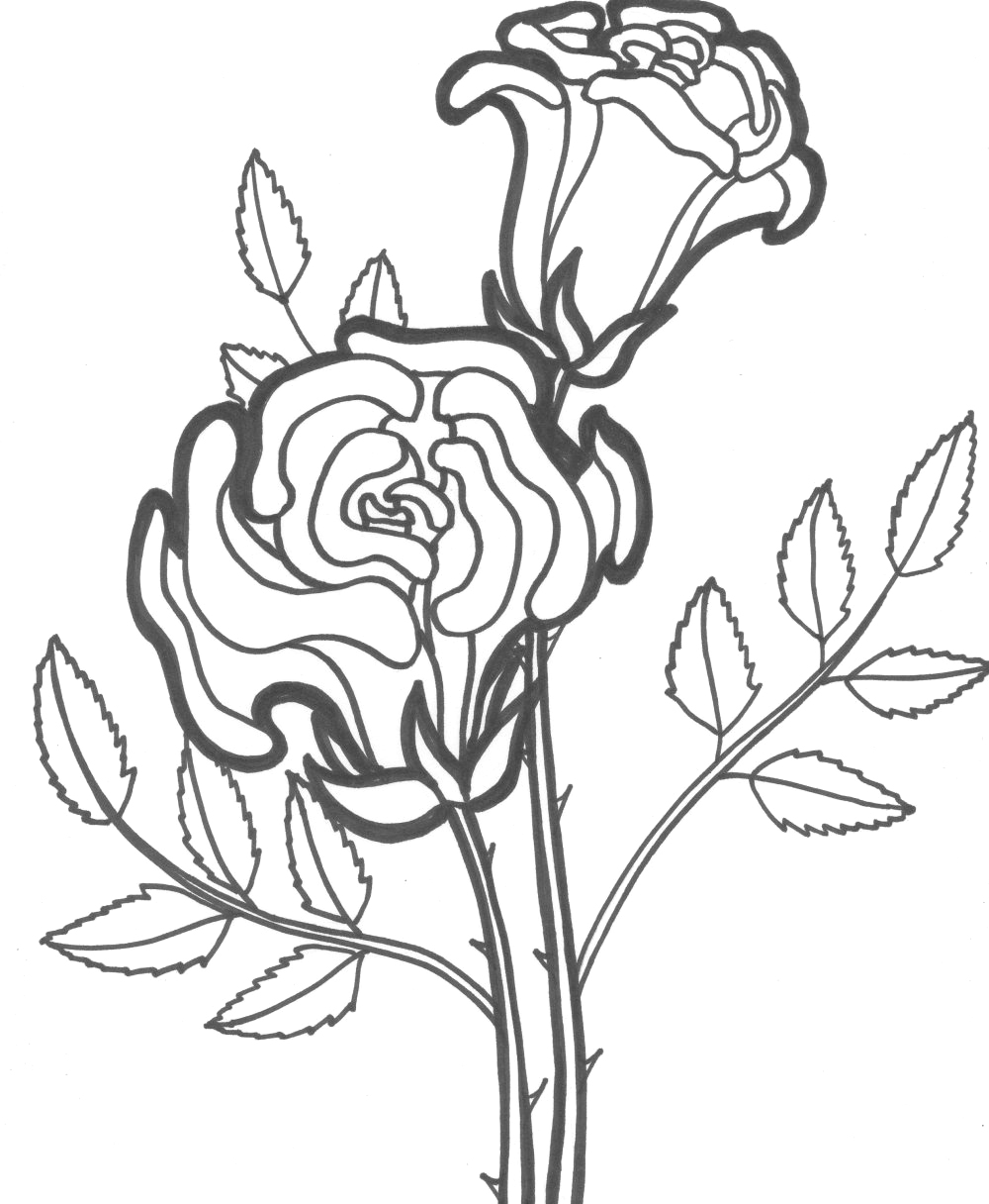 Dessin à colorier: Roses (Nature) #161879 - Coloriages à Imprimer Gratuits