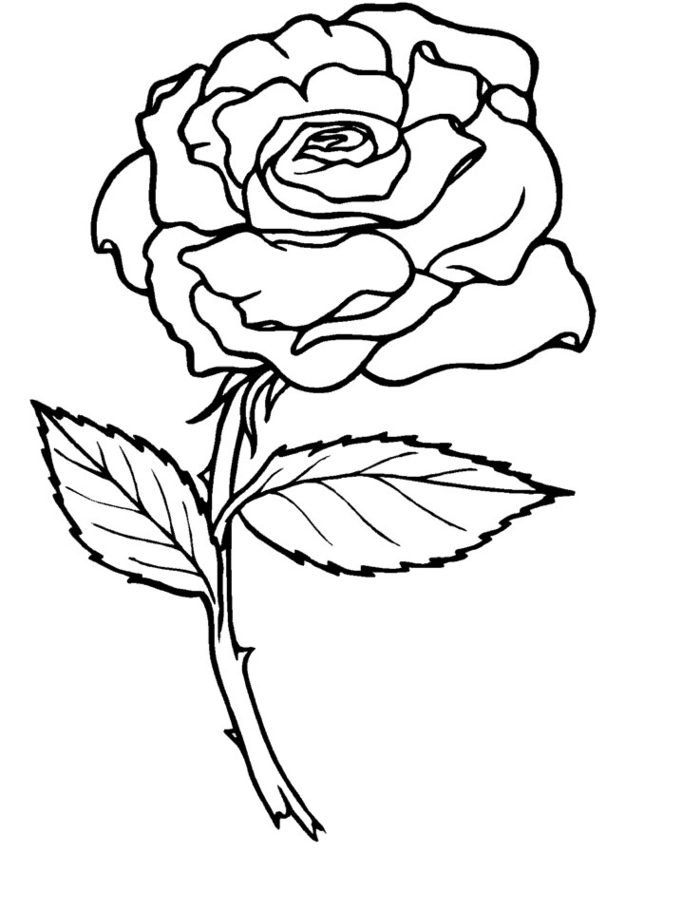 Dessin à colorier: Roses (Nature) #161884 - Coloriages à Imprimer Gratuits