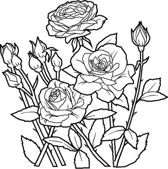 Dessin à colorier: Roses (Nature) #161888 - Coloriages à Imprimer Gratuits