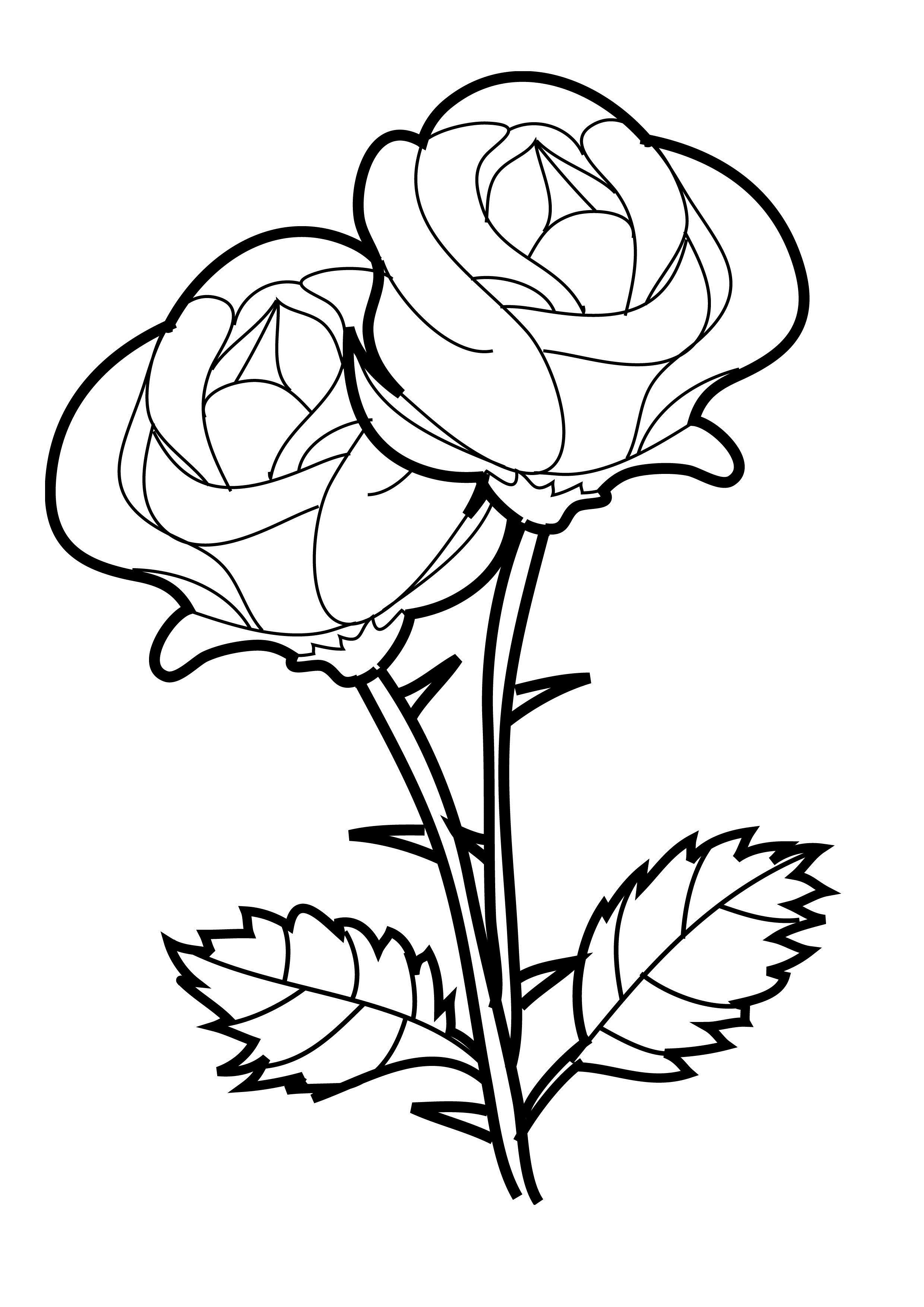 Dessin à colorier: Roses (Nature) #161890 - Coloriages à Imprimer Gratuits