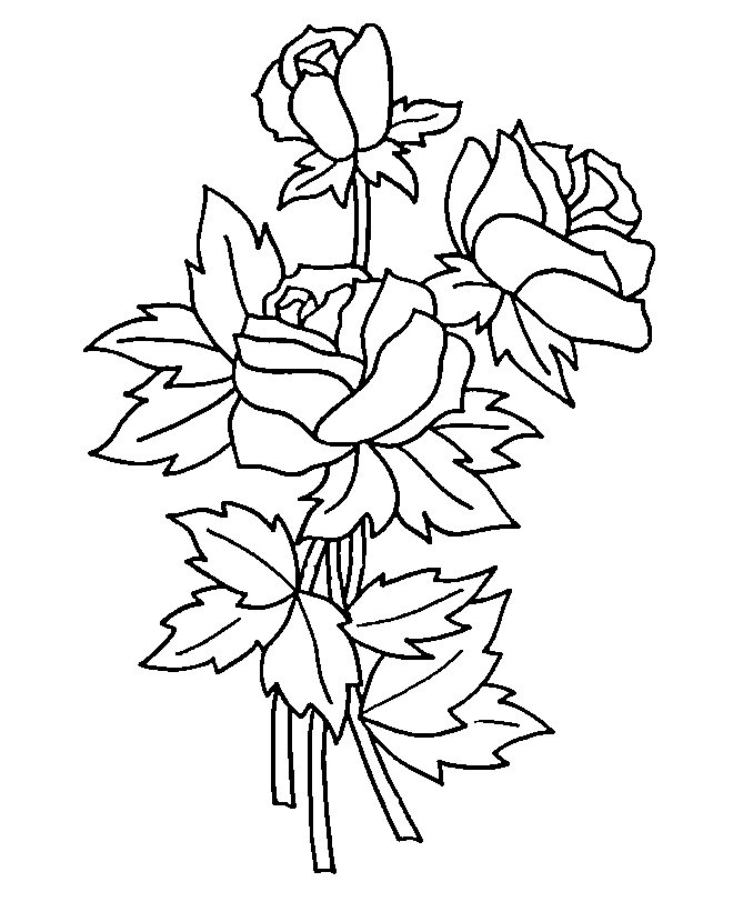 Dessin à colorier: Roses (Nature) #161895 - Coloriages à Imprimer Gratuits