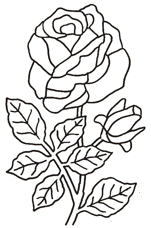 Dessin à colorier: Roses (Nature) #161899 - Coloriages à Imprimer Gratuits