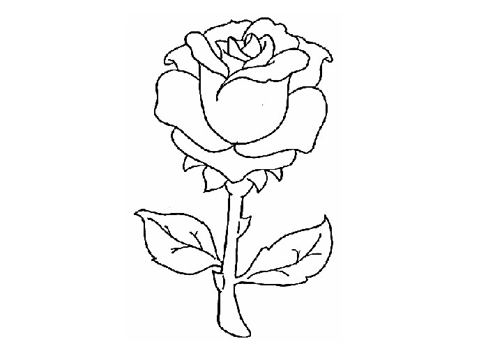 Dessin à colorier: Roses (Nature) #161907 - Coloriages à Imprimer Gratuits