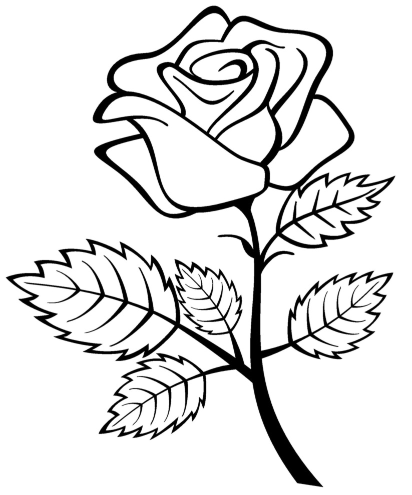 Dessin à colorier: Roses (Nature) #161909 - Coloriages à Imprimer Gratuits