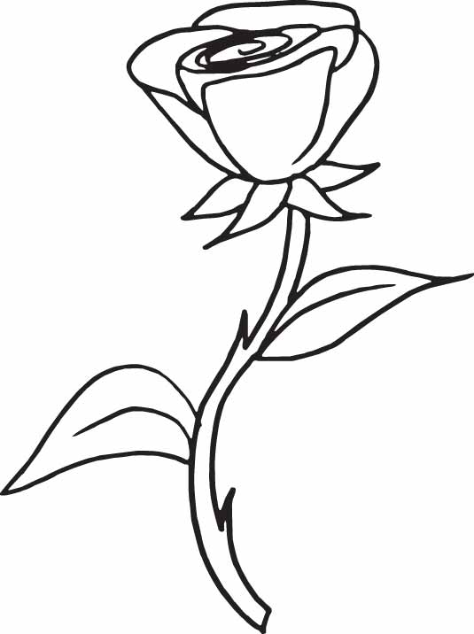 Dessin à colorier: Roses (Nature) #161916 - Coloriages à Imprimer Gratuits