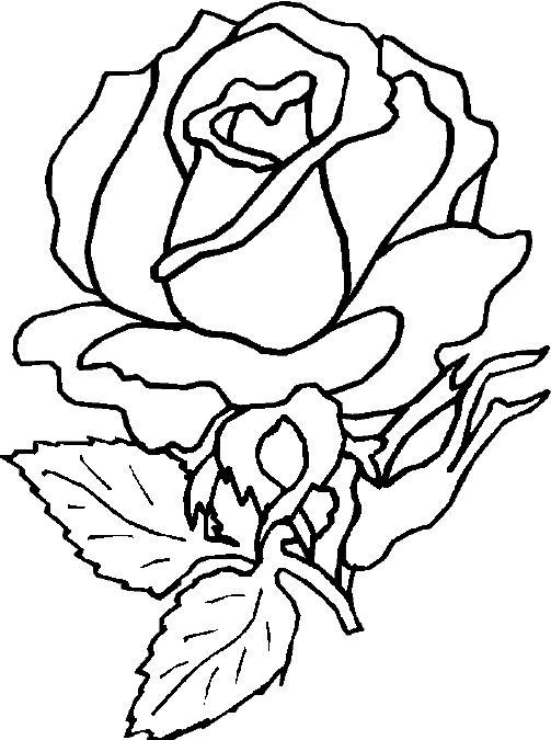 Dessin à colorier: Roses (Nature) #161922 - Coloriages à Imprimer Gratuits