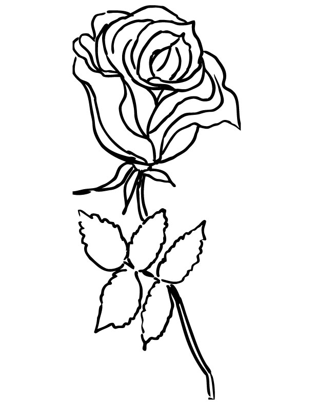 Dessin à colorier: Roses (Nature) #161935 - Coloriages à Imprimer Gratuits