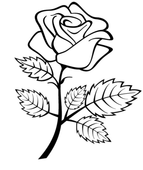 Dessin à colorier: Roses (Nature) #161936 - Coloriages à Imprimer Gratuits