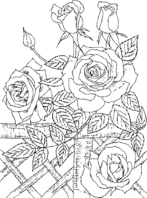 Dessin à colorier: Roses (Nature) #161944 - Coloriages à Imprimer Gratuits