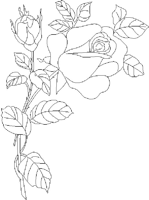 Dessin à colorier: Roses (Nature) #161949 - Coloriages à Imprimer Gratuits