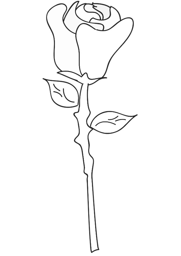 Dessin à colorier: Roses (Nature) #161950 - Coloriages à Imprimer Gratuits