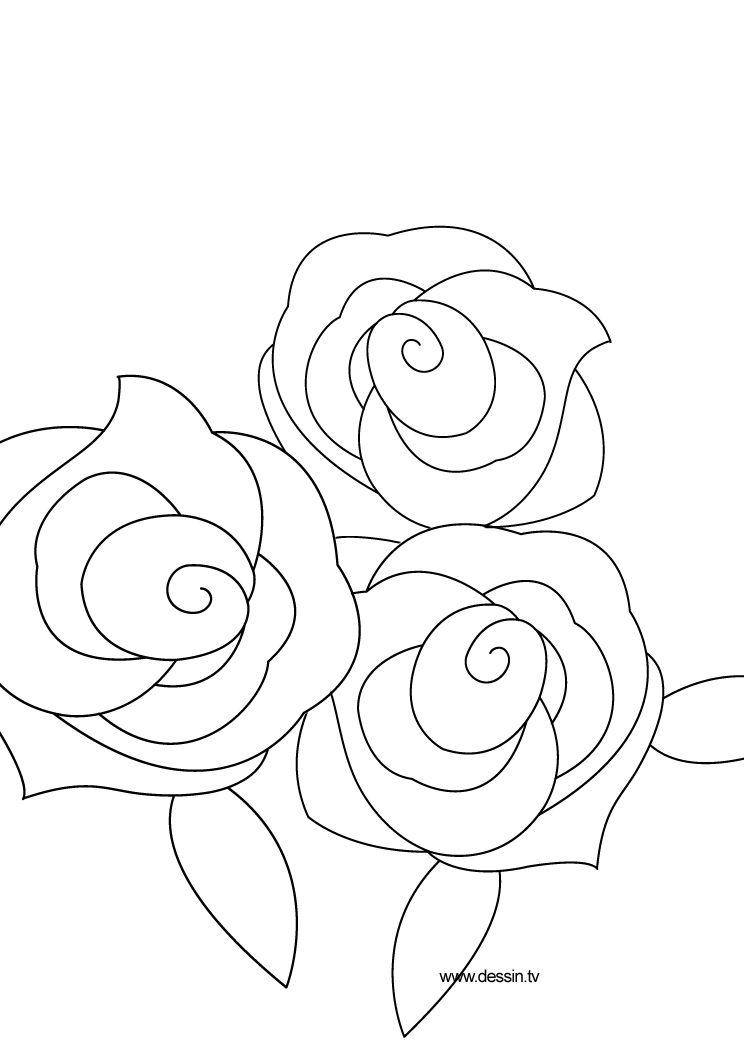 Dessin à colorier: Roses (Nature) #161958 - Coloriages à Imprimer Gratuits