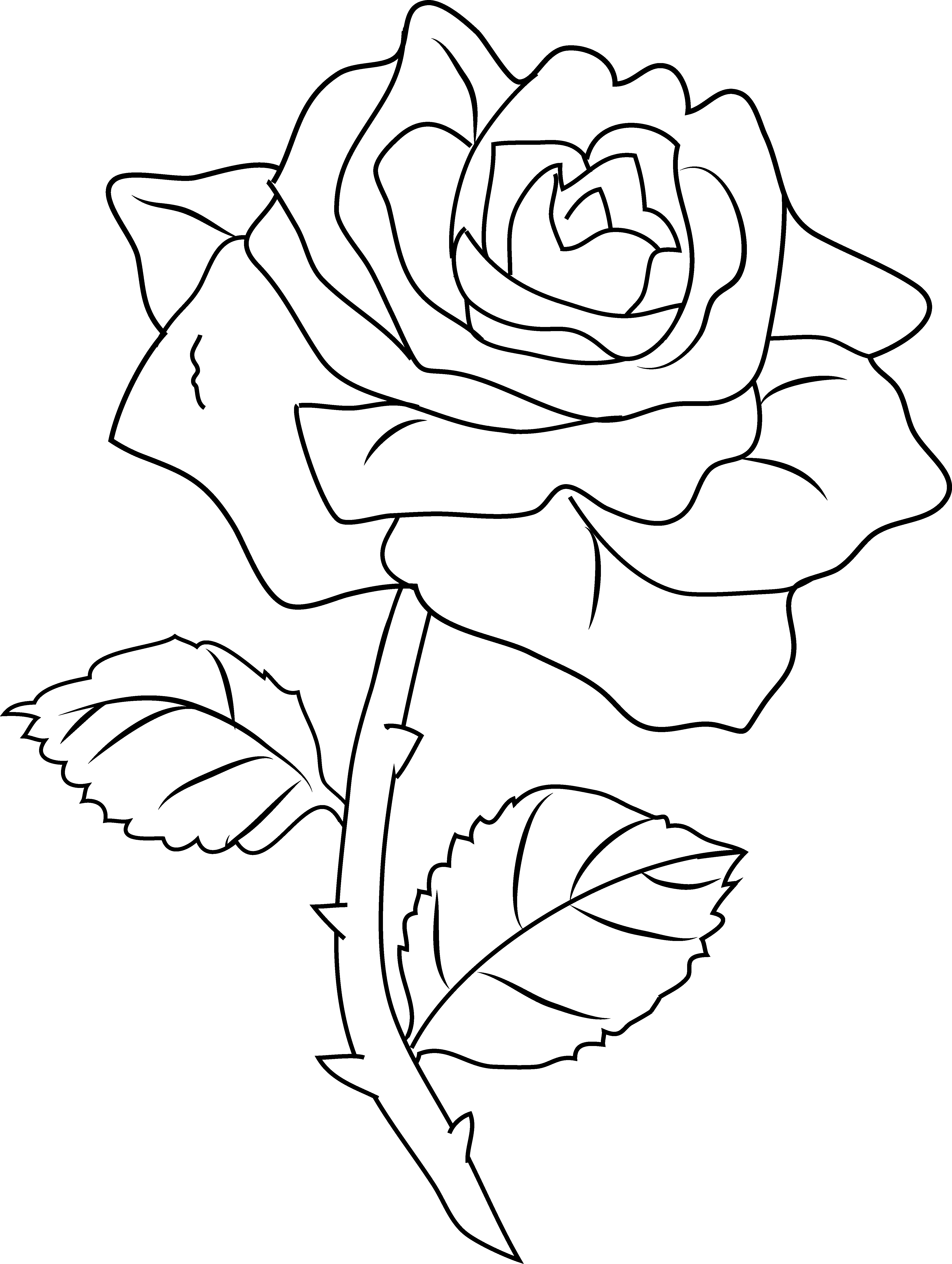 Dessin à colorier: Roses (Nature) #161971 - Coloriages à Imprimer Gratuits