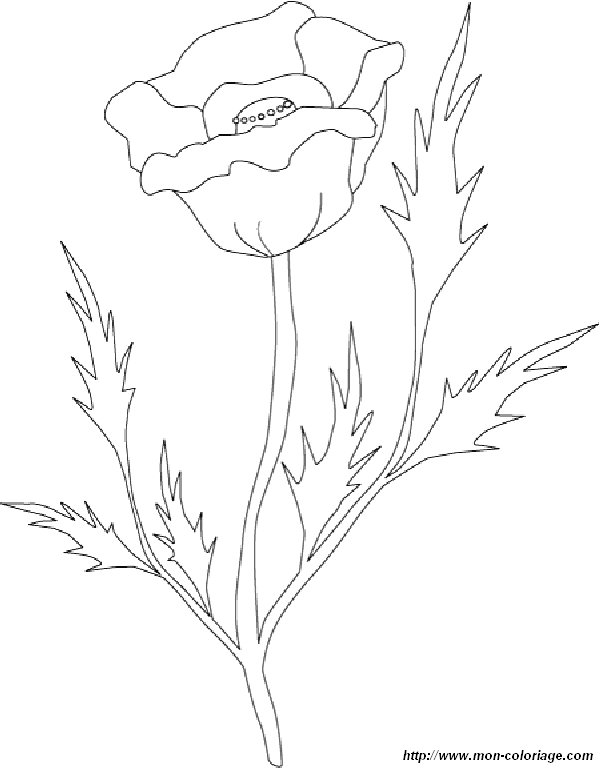 Dessin à colorier: Roses (Nature) #161975 - Coloriages à Imprimer Gratuits