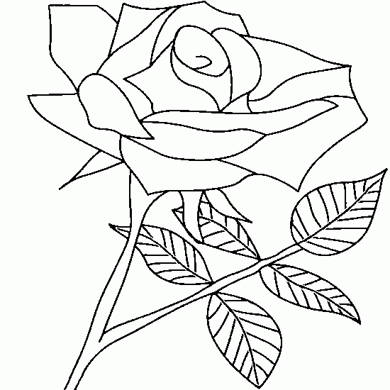 Dessin à colorier: Roses (Nature) #161982 - Coloriages à Imprimer Gratuits