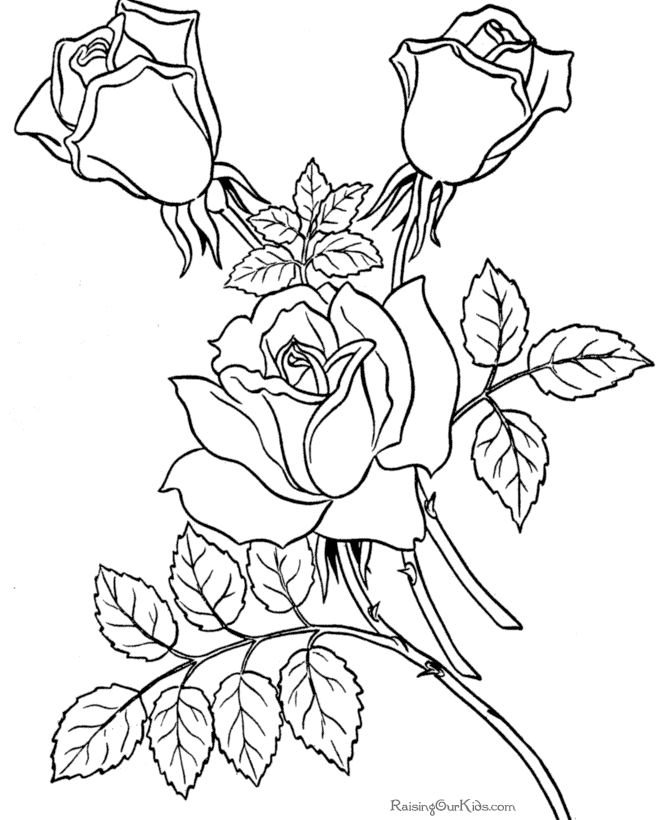 Dessin à colorier: Roses (Nature) #161984 - Coloriages à Imprimer Gratuits