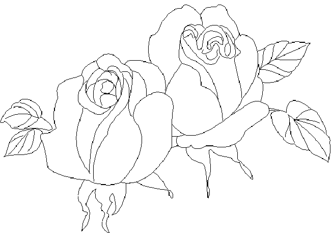 Dessin à colorier: Roses (Nature) #161988 - Coloriages à Imprimer Gratuits