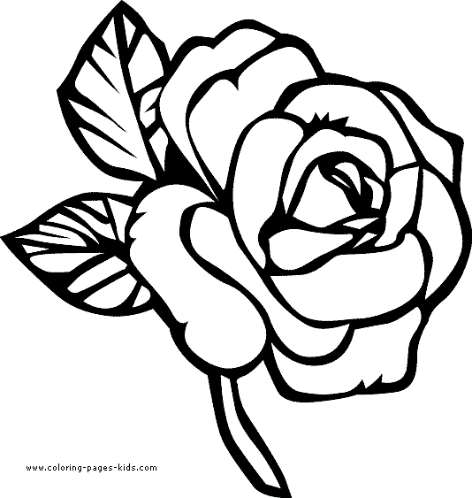 Dessin à colorier: Roses (Nature) #162017 - Coloriages à Imprimer Gratuits