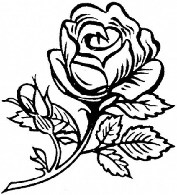 Dessin à colorier: Roses (Nature) #162020 - Coloriages à Imprimer Gratuits