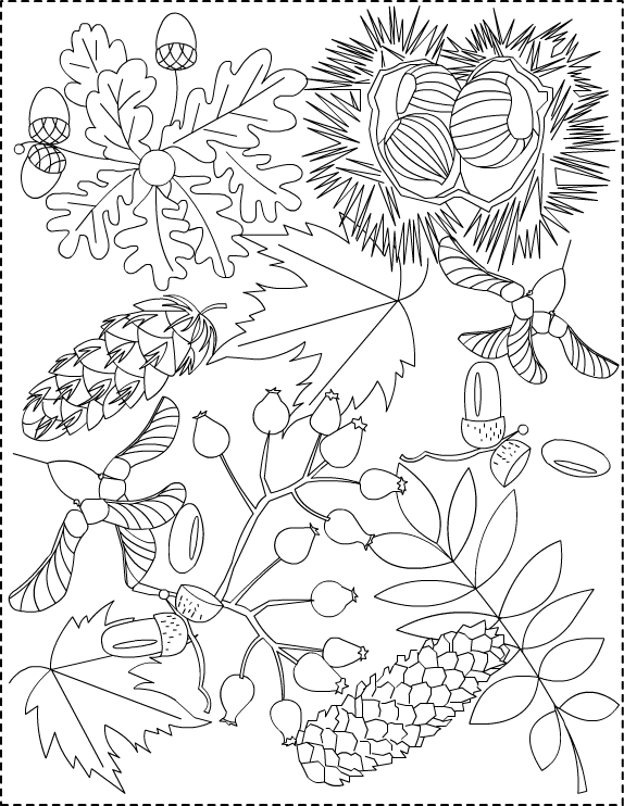 Dessin à colorier: Saison Automne (Nature) #164066 - Coloriages à Imprimer Gratuits