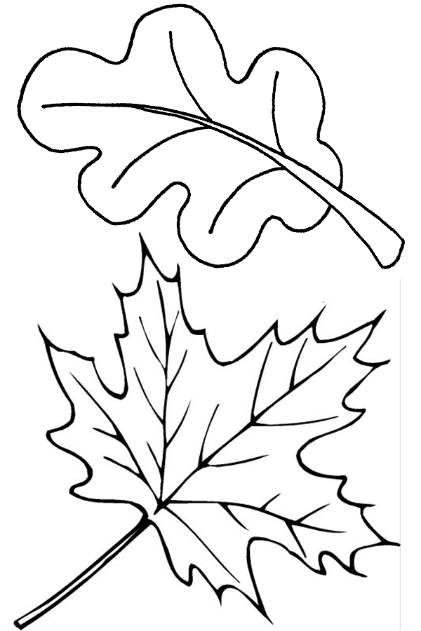 Dessin à colorier: Saison Automne (Nature) #164093 - Coloriages à Imprimer Gratuits