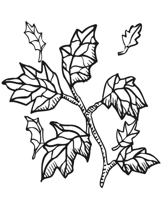 Dessin à colorier: Saison Automne (Nature) #164107 - Coloriages à Imprimer Gratuits