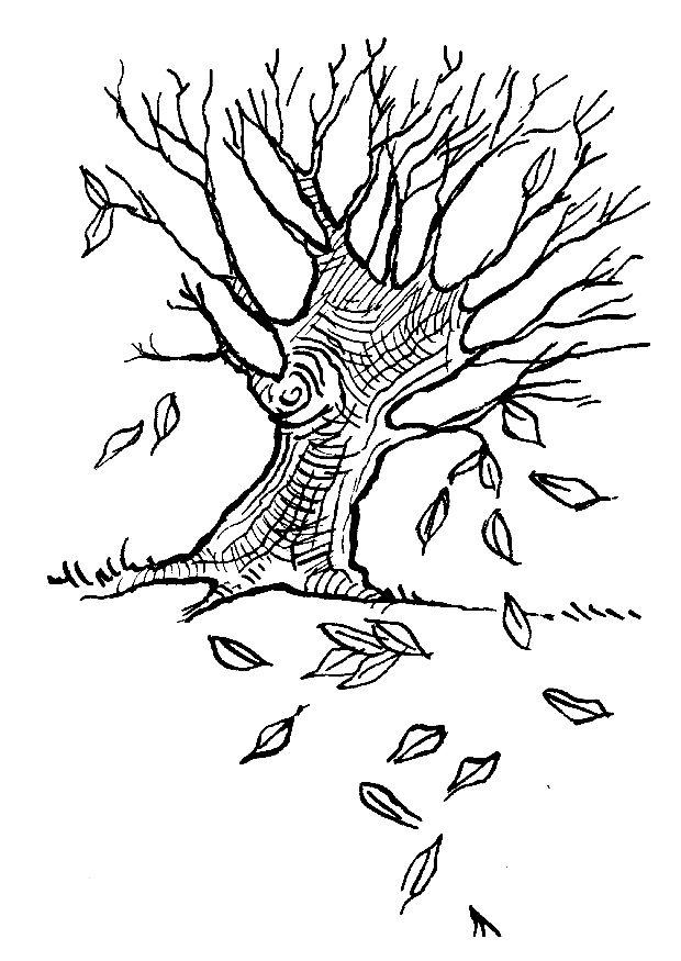 Dessin à colorier: Saison Automne (Nature) #164119 - Coloriages à Imprimer Gratuits