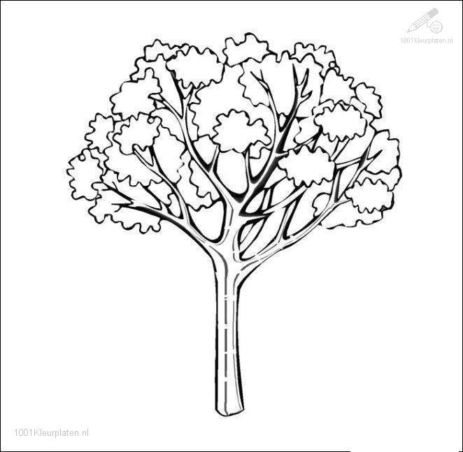 Dessin à colorier: Saison Automne (Nature) #164163 - Coloriages à Imprimer Gratuits