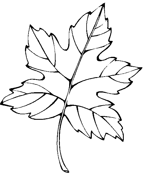 Dessin à colorier: Saison Automne (Nature) #164351 - Coloriages à Imprimer Gratuits