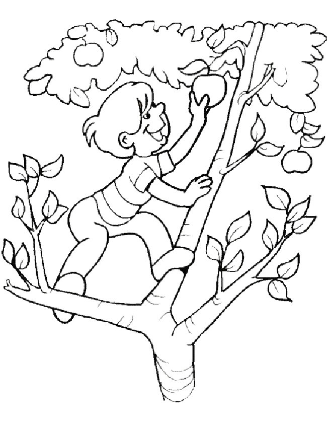 Dessin à colorier: Saison Été (Nature) #165236 - Coloriages à Imprimer Gratuits