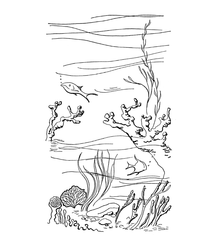 Dessin à colorier: Saison Été (Nature) #165257 - Coloriages à Imprimer Gratuits