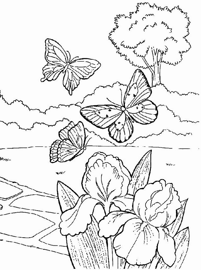 Dessin à colorier: Saison Printemps (Nature) #164753 - Coloriages à Imprimer Gratuits